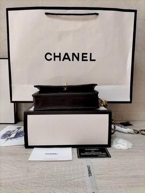 1:1 Replica Chanel Bags WOAP1450 19.2X12.3X3.5