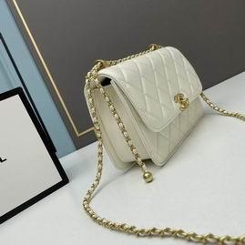 1:1 Replica Chanel Bags Chanel 2649 22x14x7cm ww2色