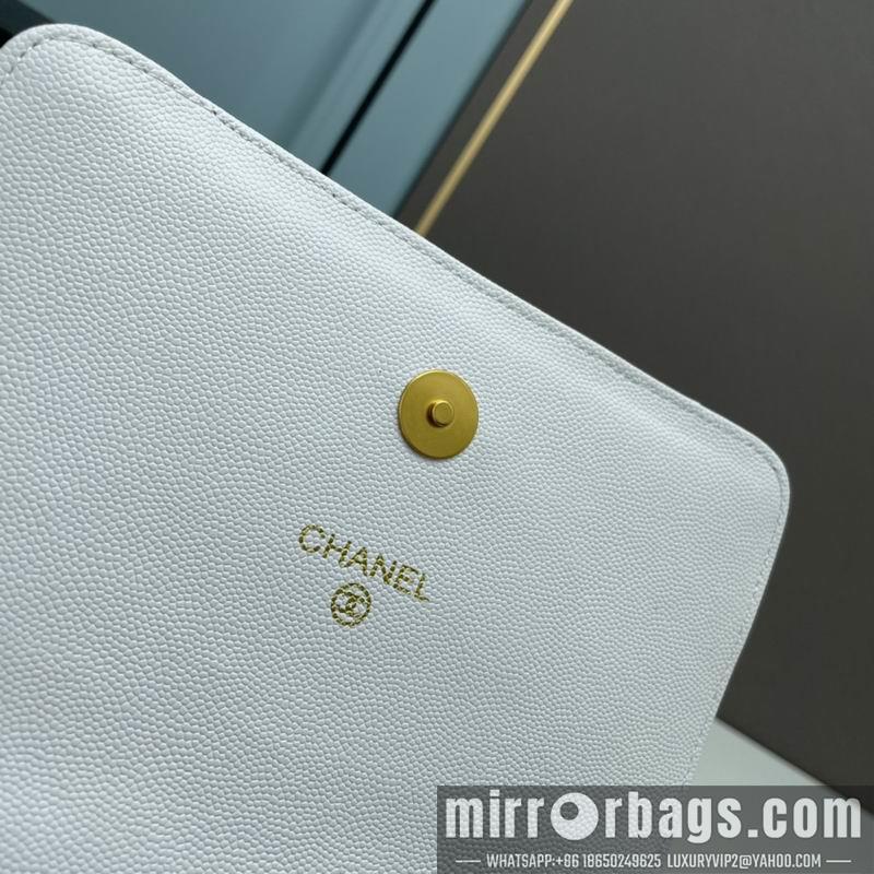 1:1 Replica Chanel Bags Chanel woc2830 19x12x6cm ww4色
