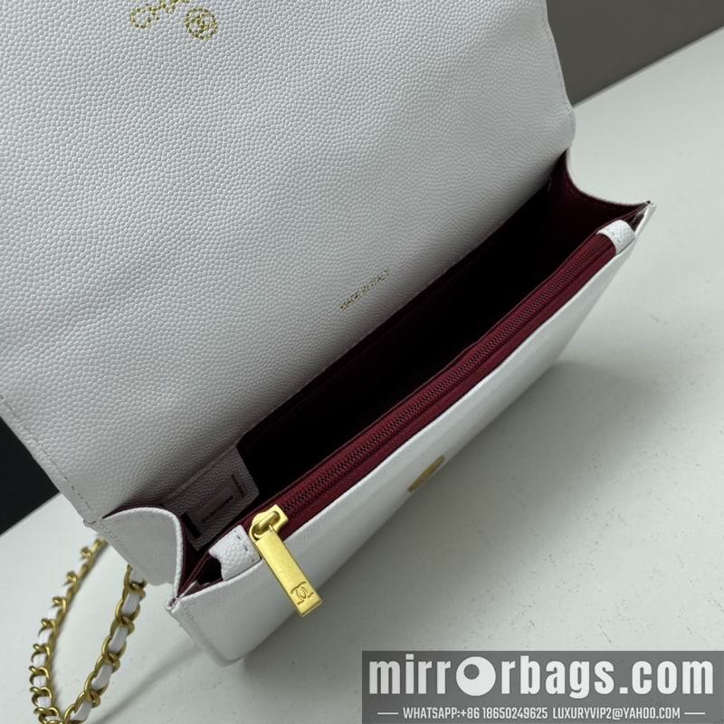 1:1 Replica Chanel Bags Chanel woc2830 19x12x6cm ww4色