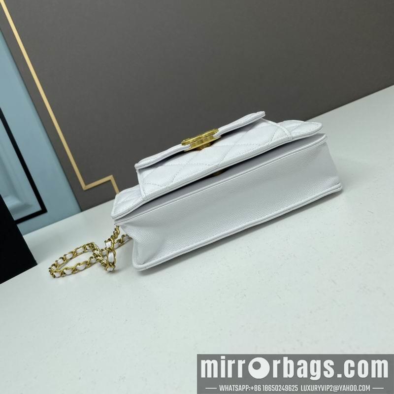 1:1 Replica Chanel Bags Chanel woc2830 19x12x6cm ww4色