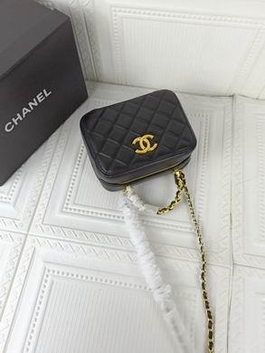 1:1 Replica Chanel Bags 223 17X13cm WO