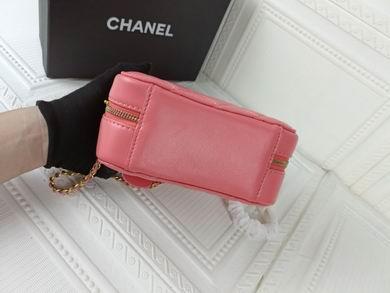 1:1 Replica Chanel Bags 223 17X13cm WO
