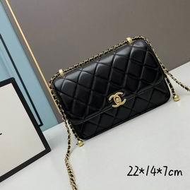 1:1 Replica Chanel Bags Chanel 2649 22x14x7cm ww2色