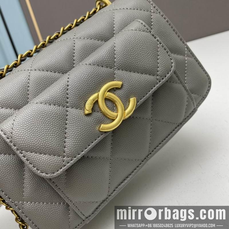 1:1 Replica Chanel Bags Chanel woc2830 19x12x6cm ww4色