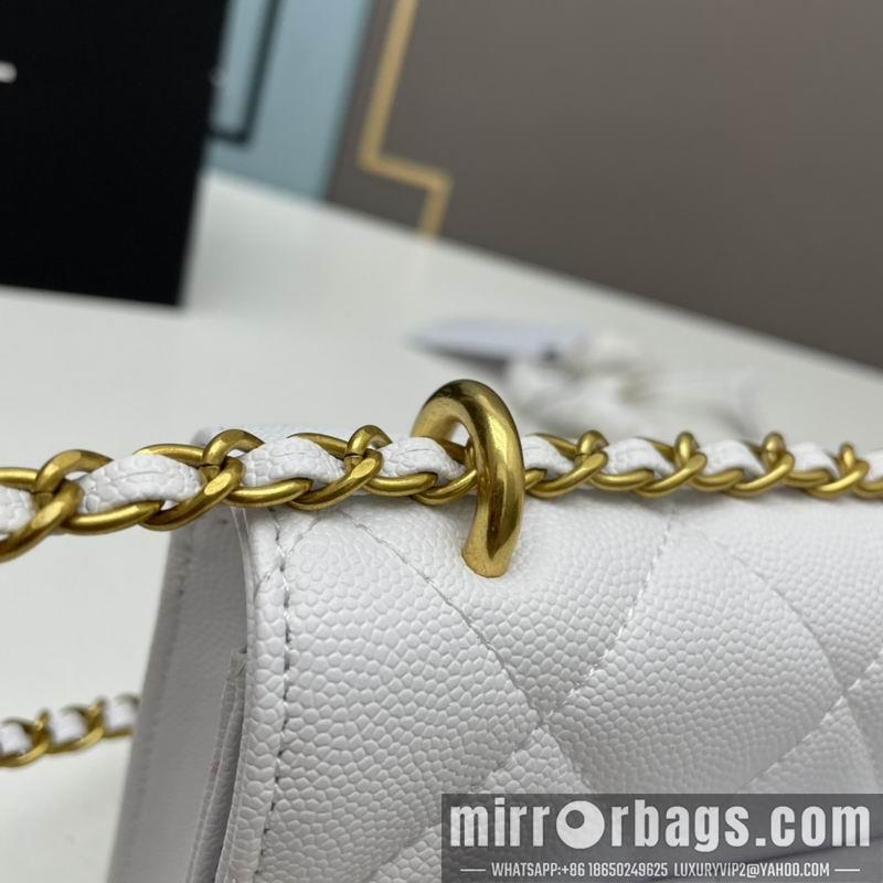 1:1 Replica Chanel Bags Chanel woc2830 19x12x6cm ww4色