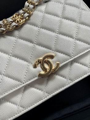 1:1 Replica Chanel Bags 19X12X3.5cm 092701
