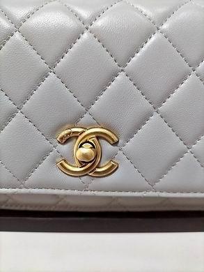 1:1 Replica Chanel Bags WOAP1450 19.2X12.3X3.5