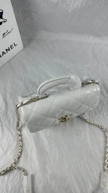 1:1 Replica Chanel Bags 240 14X20X7cm WO 3colour