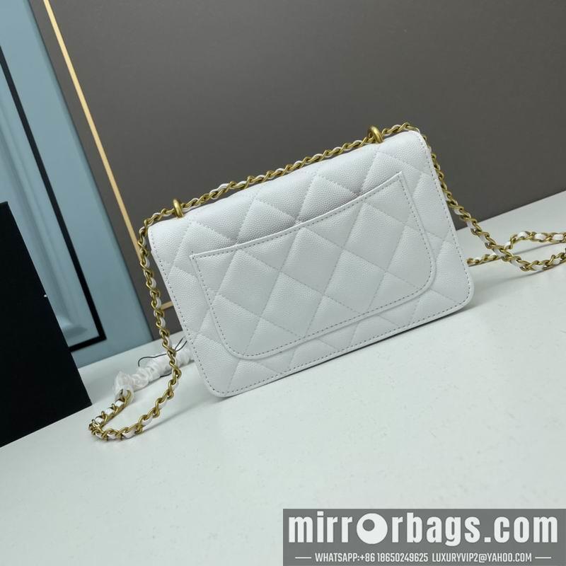 1:1 Replica Chanel Bags Chanel woc2830 19x12x6cm ww4色