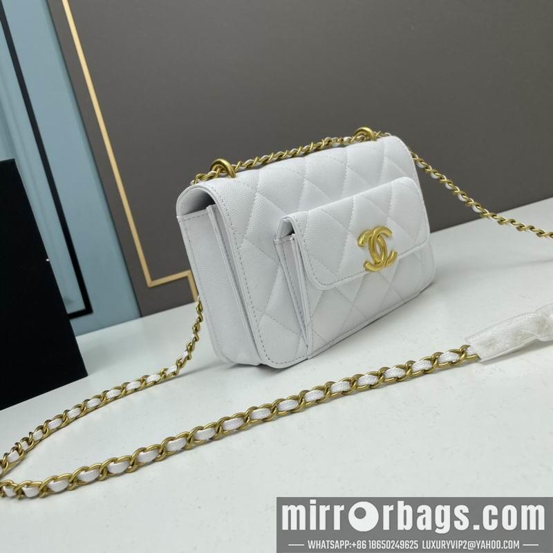 1:1 Replica Chanel Bags Chanel woc2830 19x12x6cm ww4色