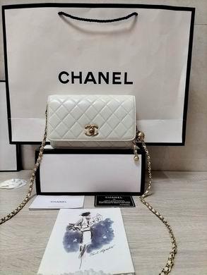 1:1 Replica Chanel Bags WOAP1450 19.2X12.3X3.5