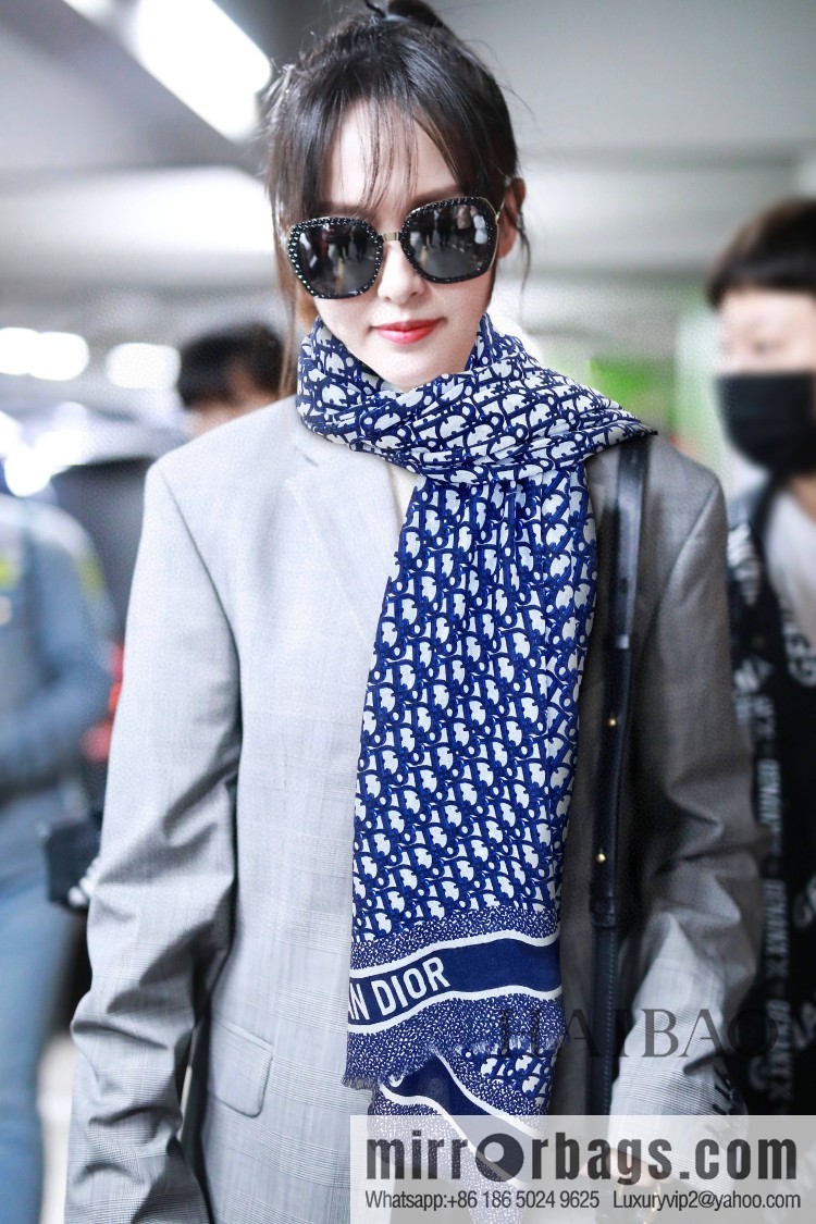 Dior Dior 100% Top Cashmere D Letter Long Scarf