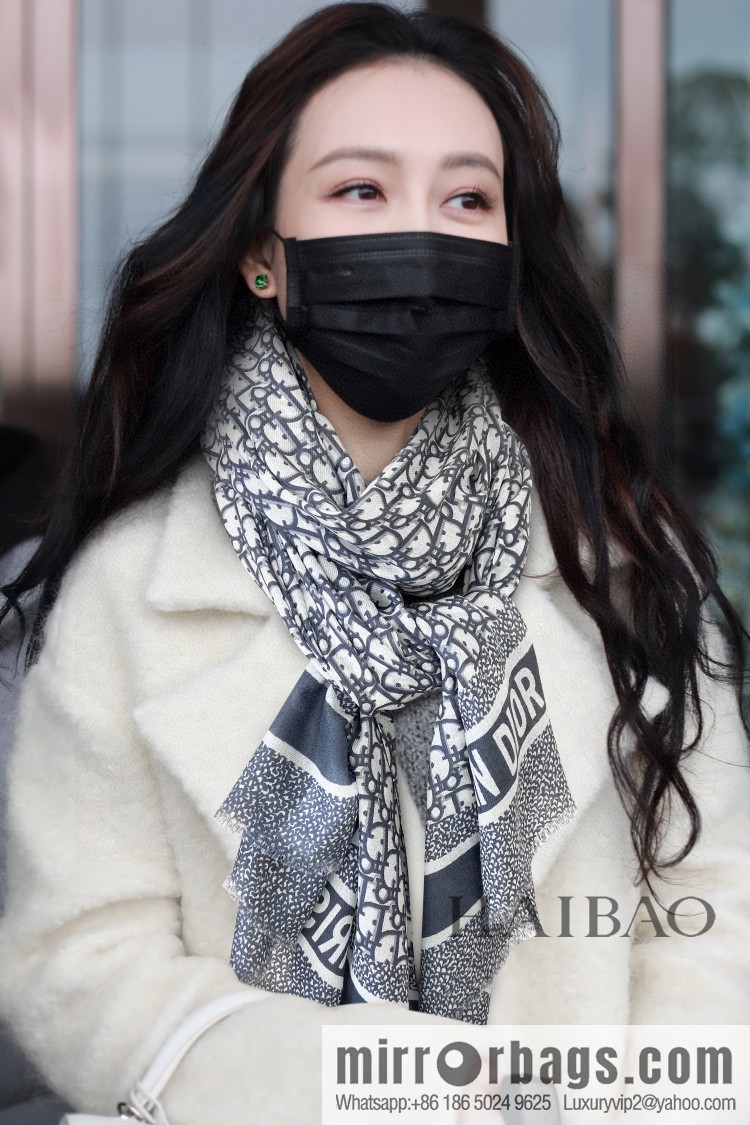 Dior Dior 100% Top Cashmere D Letter Long Scarf