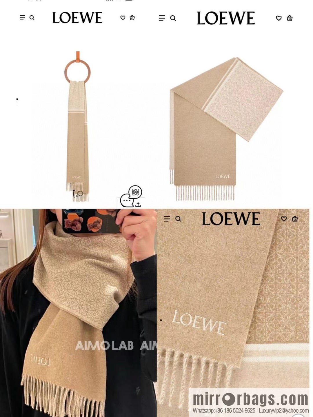 LOEWE Medium Gram Double Sided Wool and Cashmere Blended Double Sided Scarf