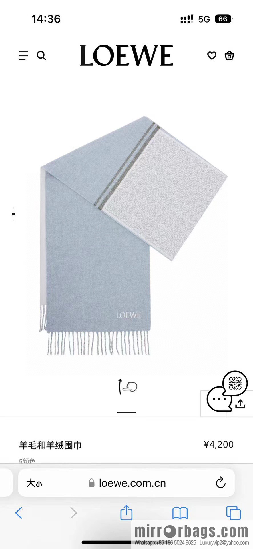 LOEWE Medium Gram Double Sided Wool and Cashmere Blended Double Sided Scarf