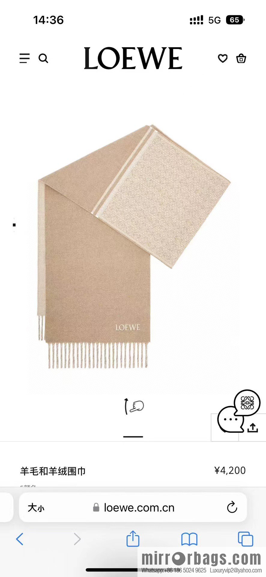 LOEWE Medium Gram Double Sided Wool and Cashmere Blended Double Sided Scarf
