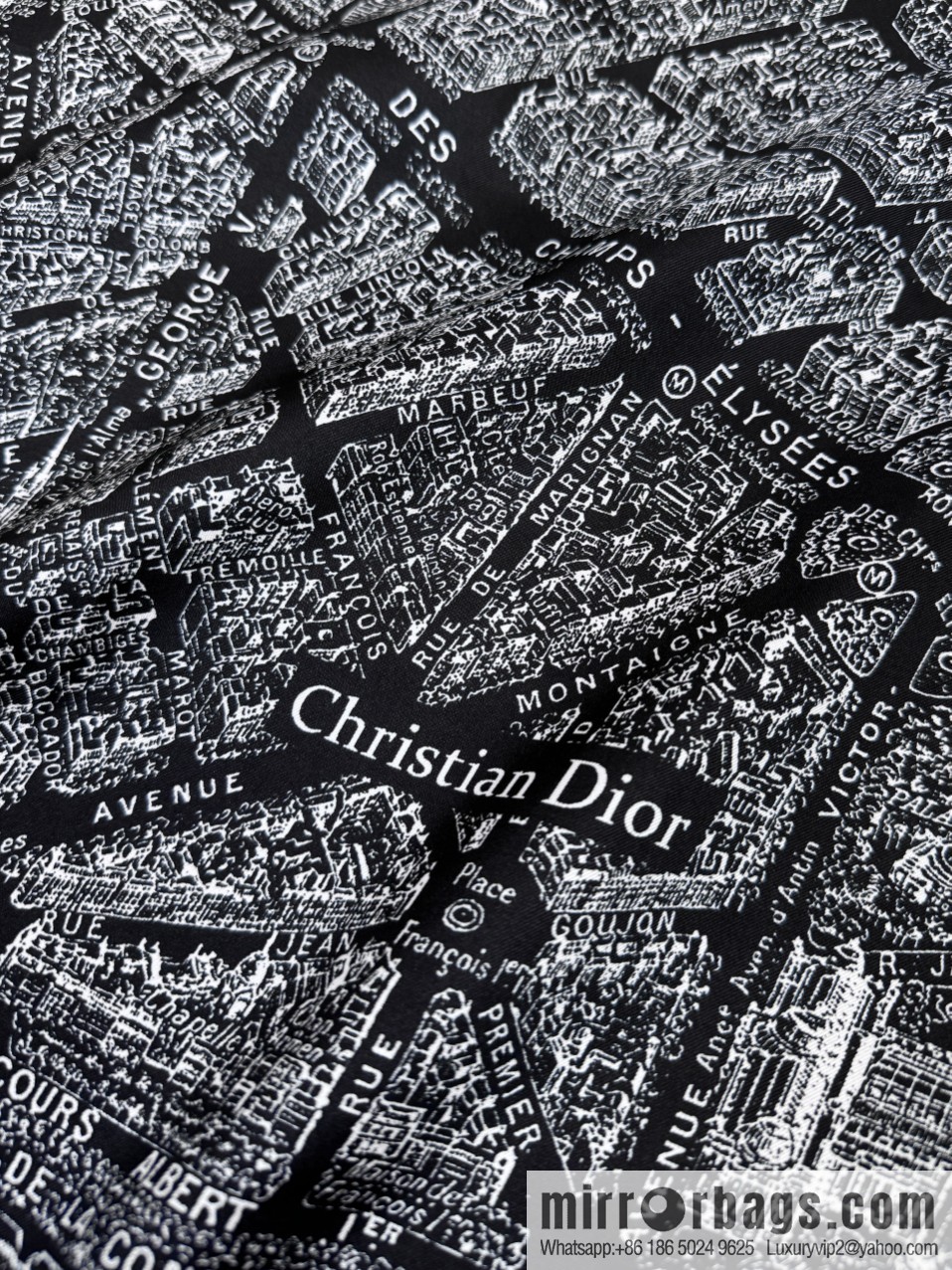DIOR Paris map C D logo Jacquard strip pattern silk scarf