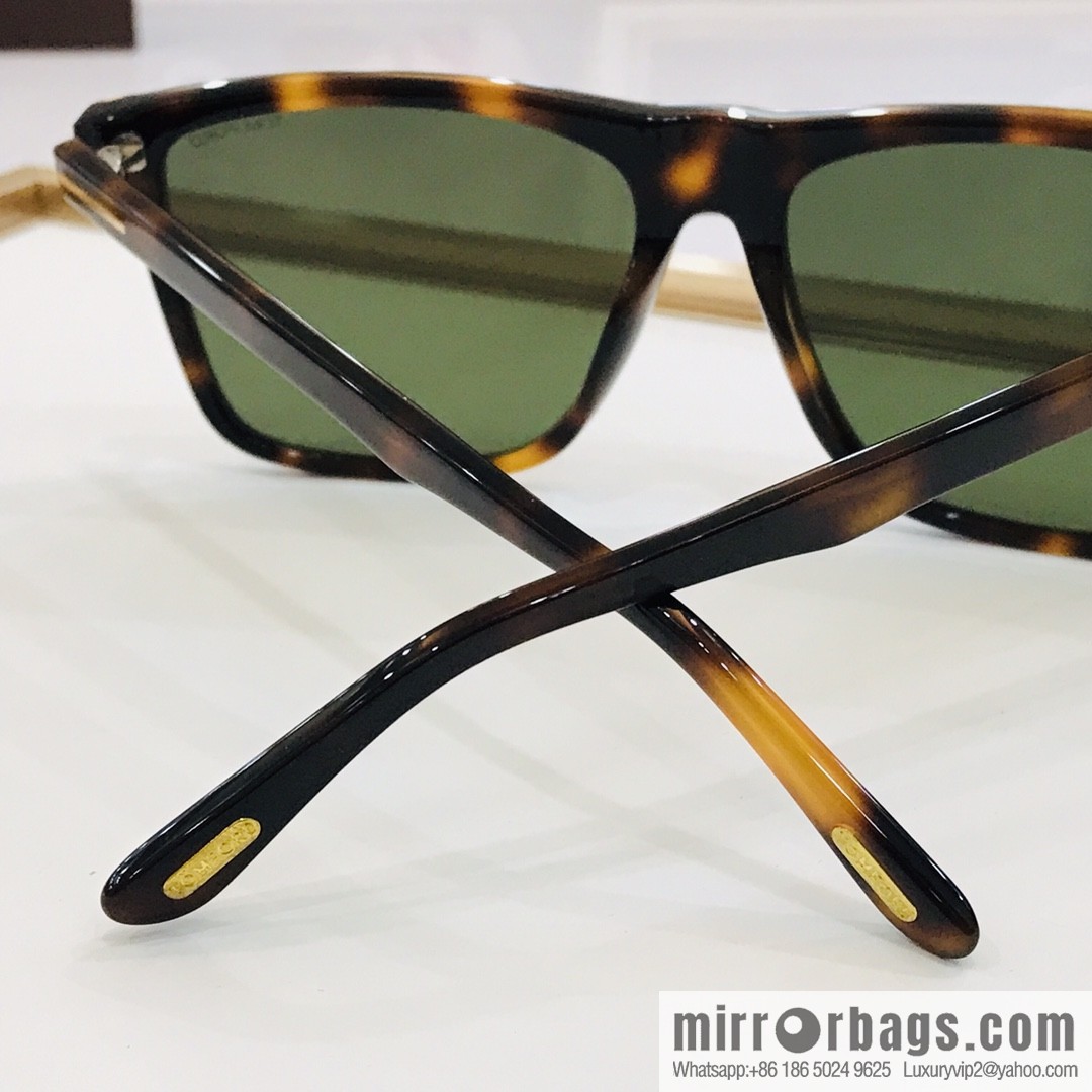 TOM FORD Tom Ford Large Frame Unisex Sunglasses