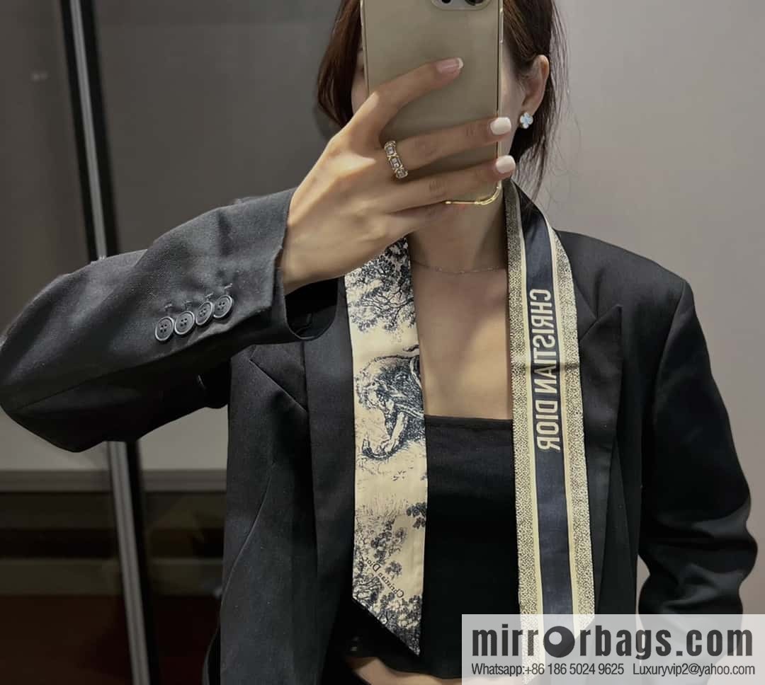 Dior twilly Sauvage Zooey print headband