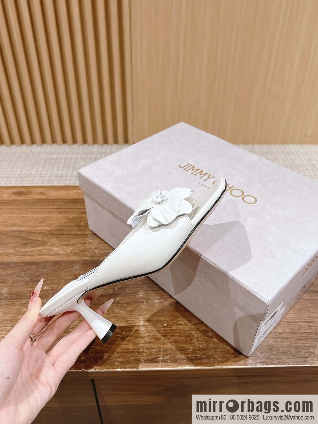 [】𝐉𝐢𝐦𝐦𝐲 𝐂𝐡𝐨𝐨# Zhou Yangjie's new bow kitten and slippers