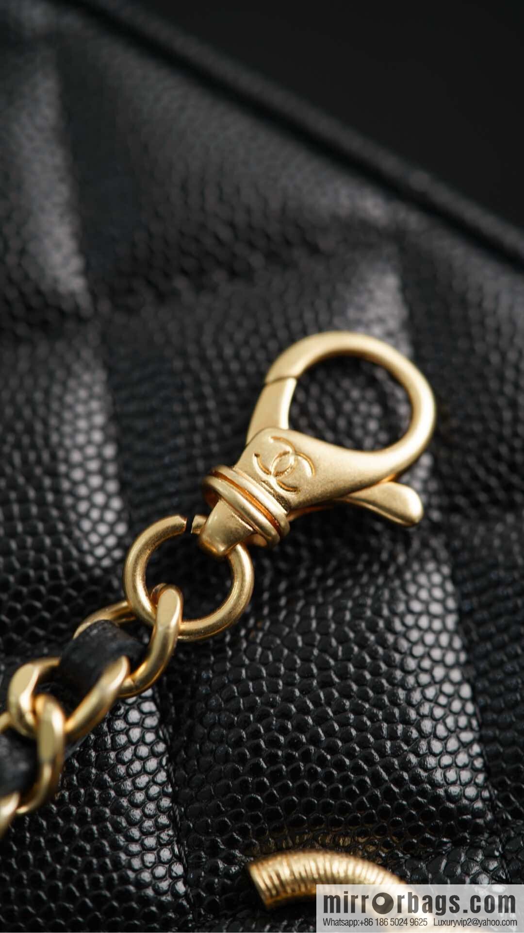 𝐂𝐡𝐚𝐧𝐞𝐥 𝟐𝟓𝐏 new lunch box bag, black gold, lychee cow AP4385