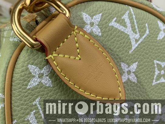 LV Replica Bags Speedy M24437 25x15x15cm gf2