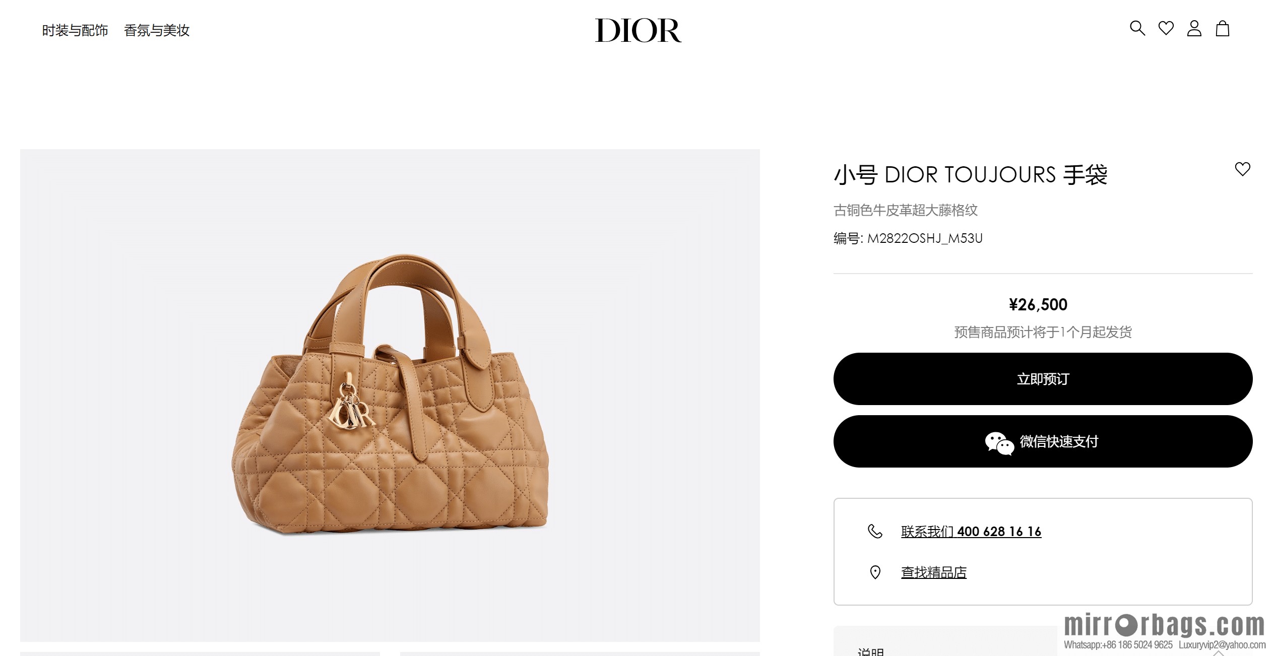 Small DIOR TOUJOURS handbag M2822OSHJ_M53U