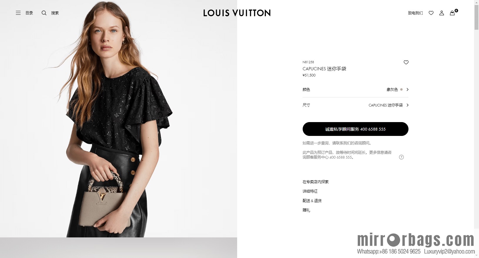 LV N81258 CAPUCINES mini handbag