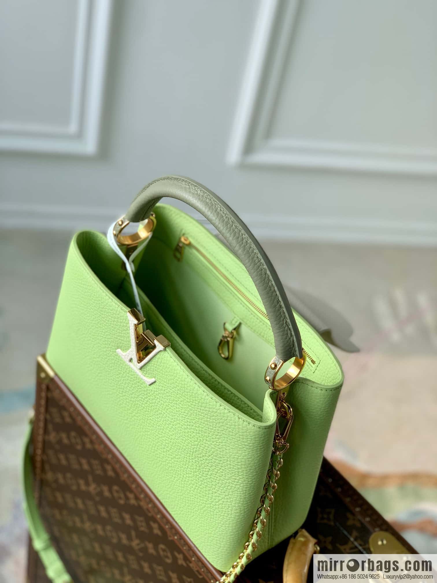 M21689 green with white M22055 CAPUCINES medium handbag