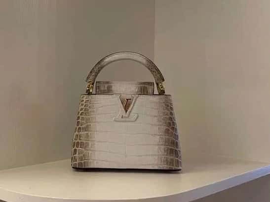 [Original order boutique] M48865 Himalayan, crocodile pattern full leather cap that English series Capucines mini handbag
