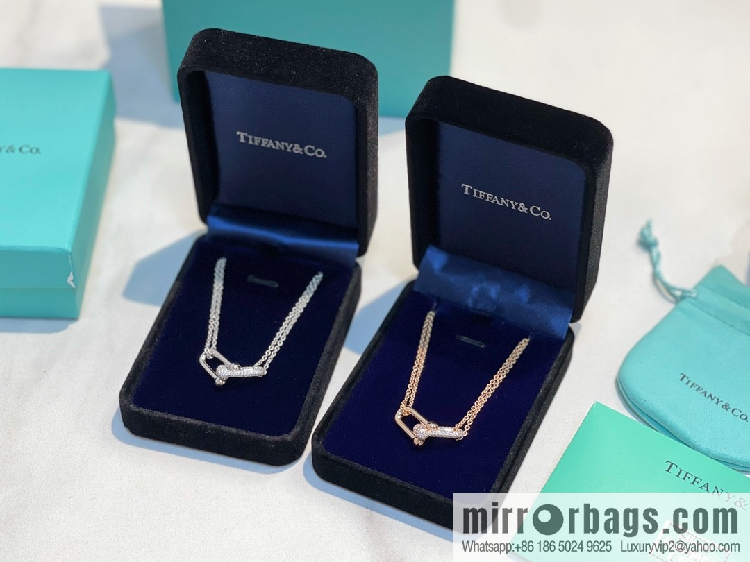 Tiffany & co. full diamond double chain ring necklace