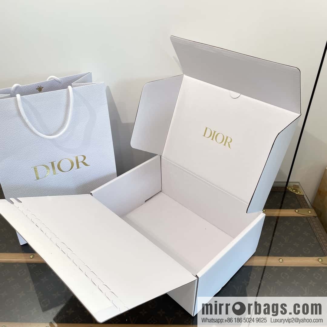 DIOR autumn and winter classic dad shoes