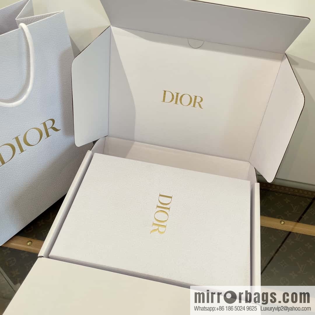 DIOR autumn and winter classic dad shoes