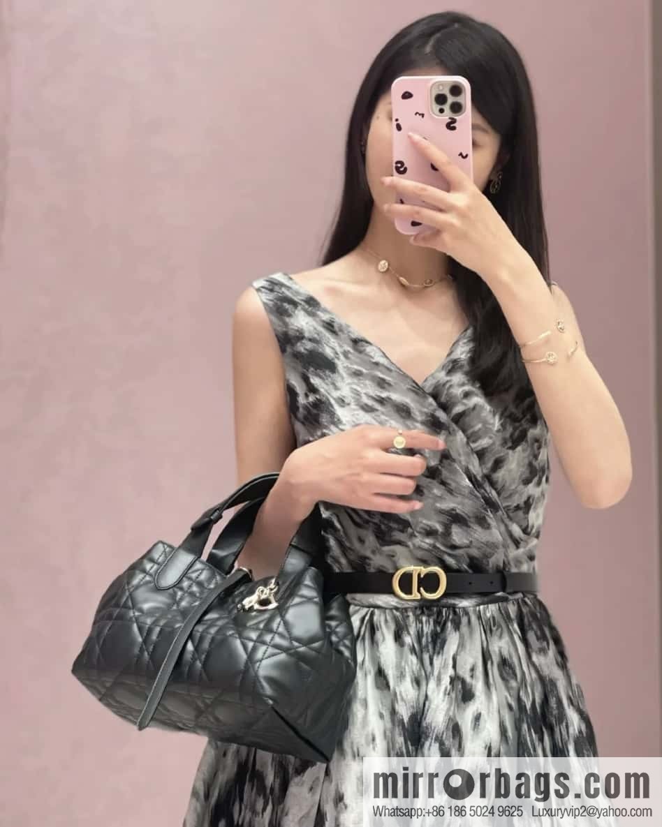 Small DIOR TOUJOURS handbag M2822OSHJ_M900
