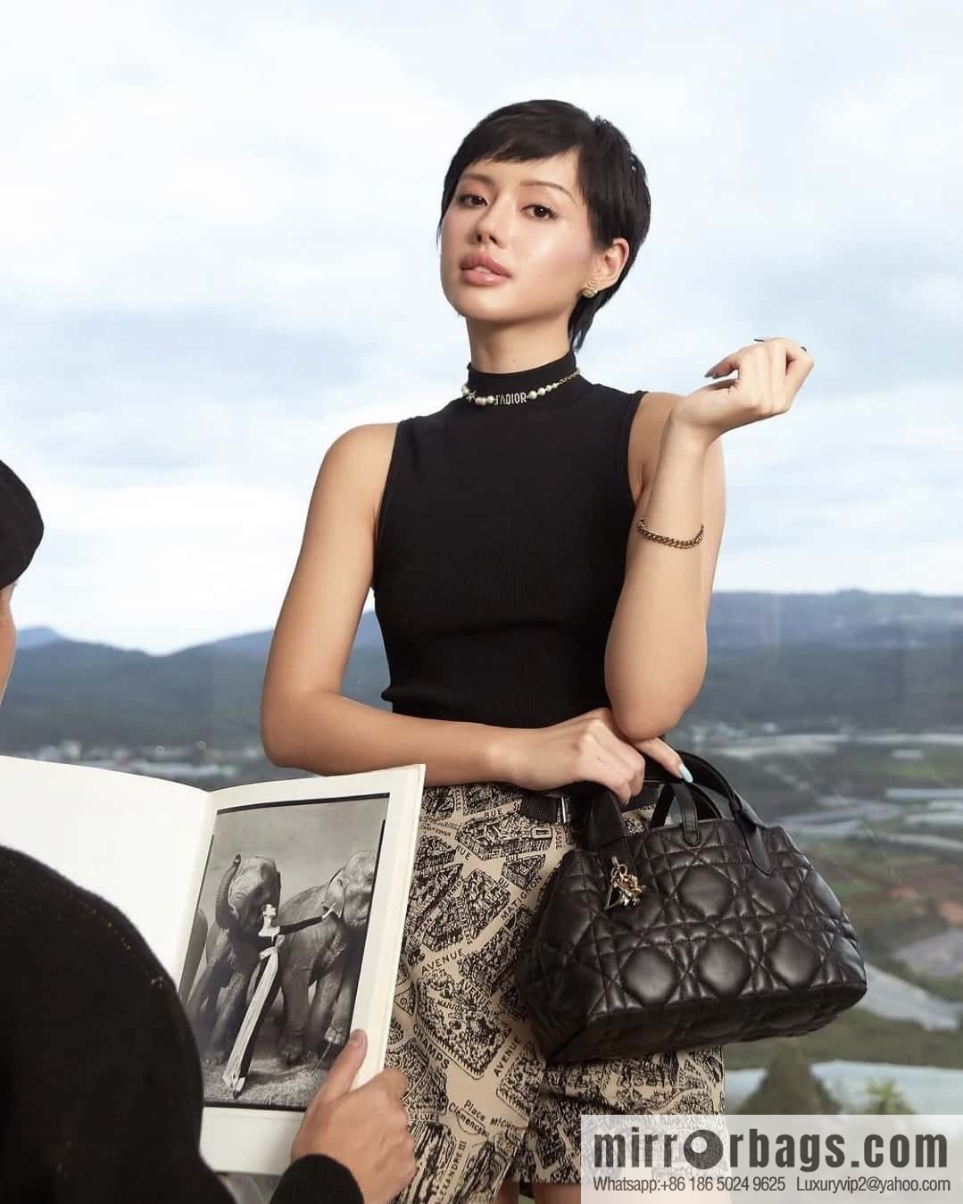 Small DIOR TOUJOURS handbag M2822OSHJ_M900