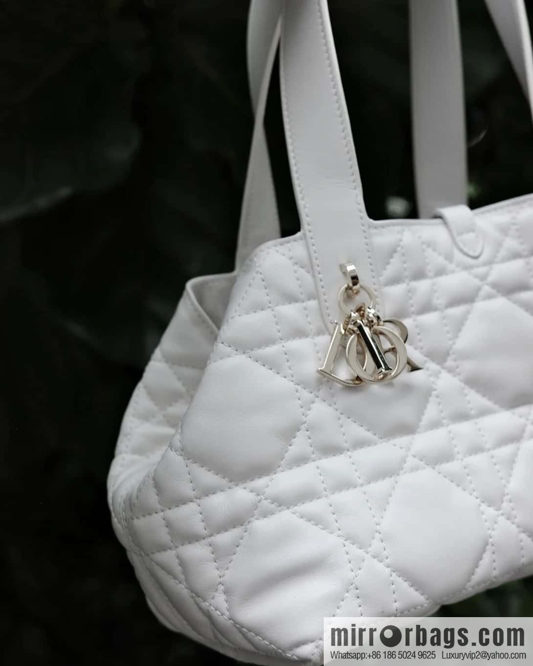 Small DIOR TOUJOURS handbag M2822OSHJ_M030