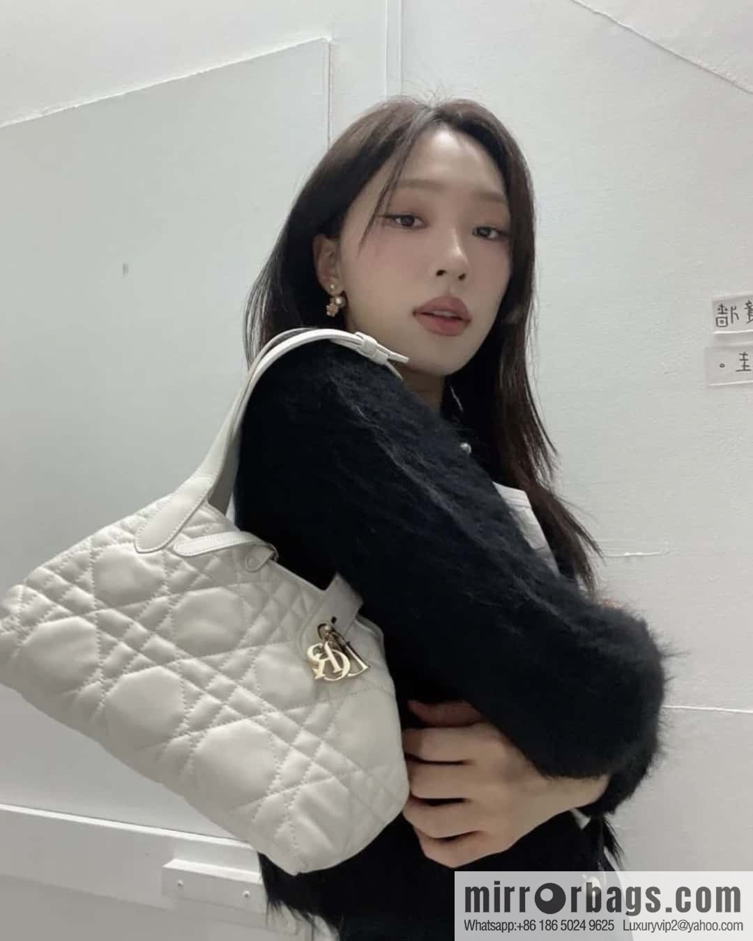 Small DIOR TOUJOURS handbag M2822OSHJ_M030