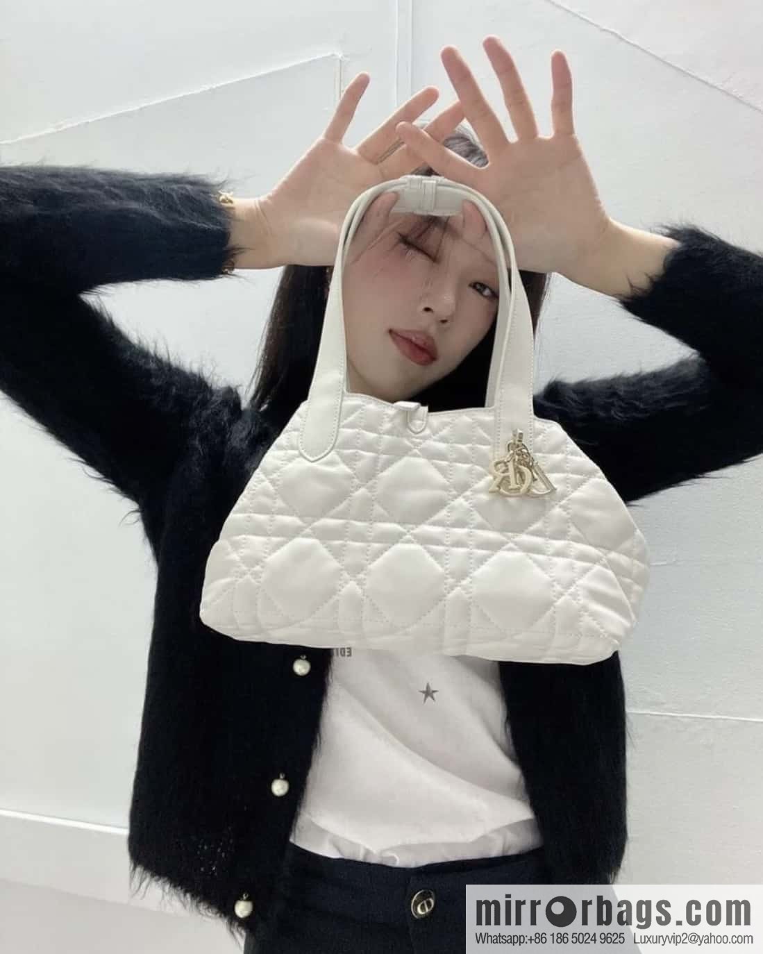 Small DIOR TOUJOURS handbag M2822OSHJ_M030