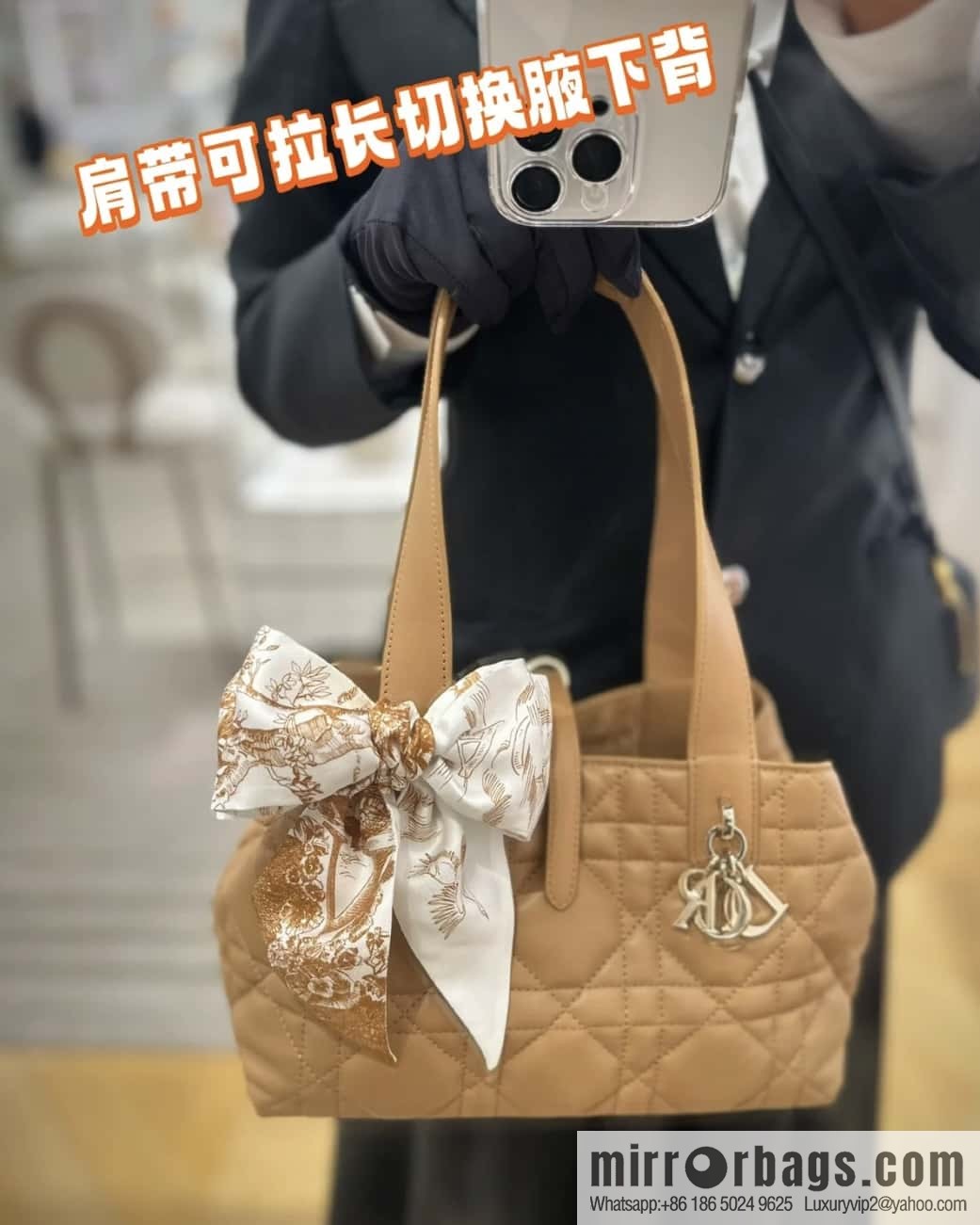 Small DIOR TOUJOURS handbag M2822OSHJ_M53U