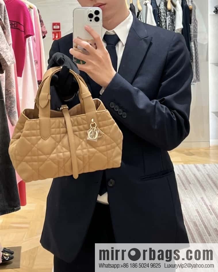 Small DIOR TOUJOURS handbag M2822OSHJ_M53U