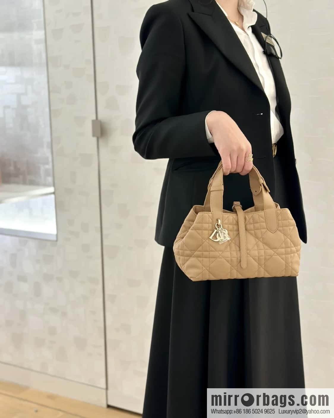 Small DIOR TOUJOURS handbag M2822OSHJ_M53U