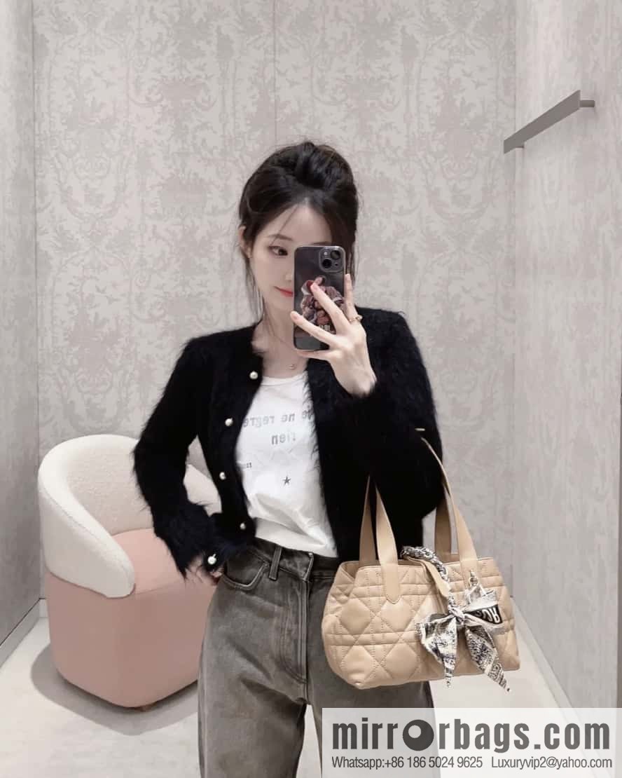 Small DIOR TOUJOURS handbag M2822OSHJ_M53U