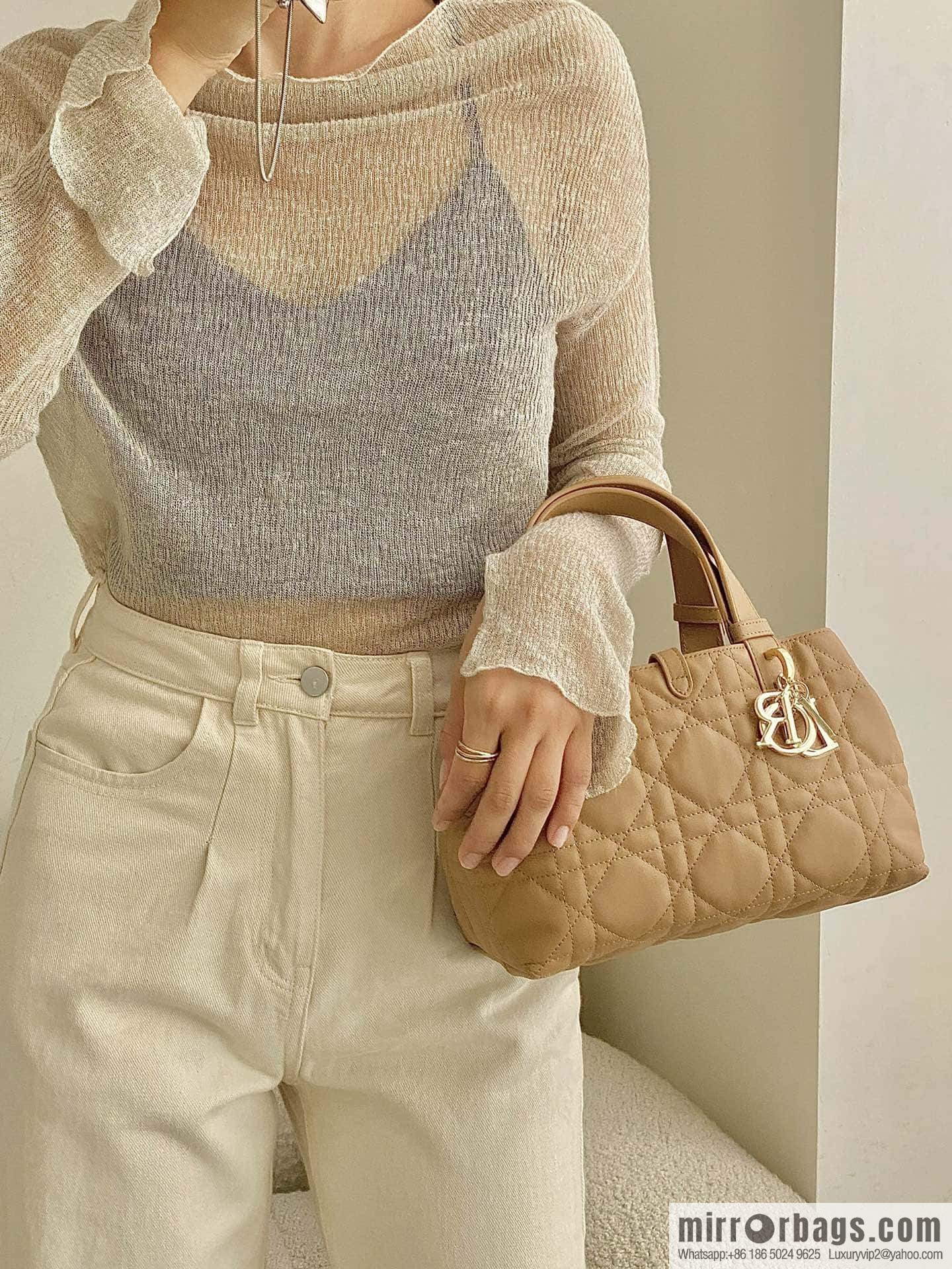 Small DIOR TOUJOURS handbag M2822OSHJ_M53U