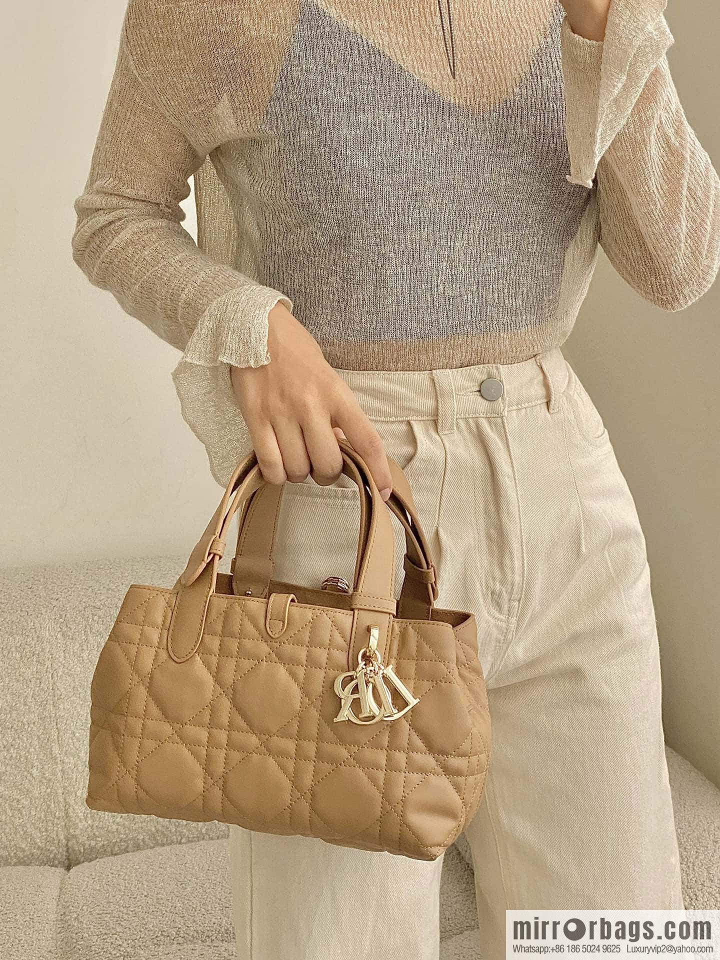 Small DIOR TOUJOURS handbag M2822OSHJ_M53U