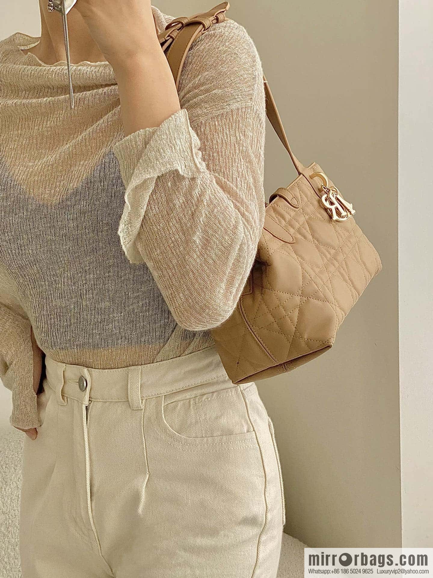 Small DIOR TOUJOURS handbag M2822OSHJ_M53U