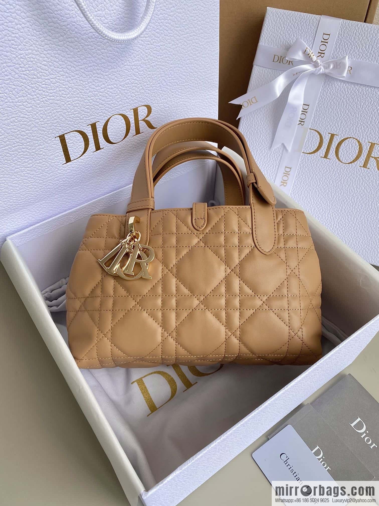 Small DIOR TOUJOURS handbag M2822OSHJ_M53U