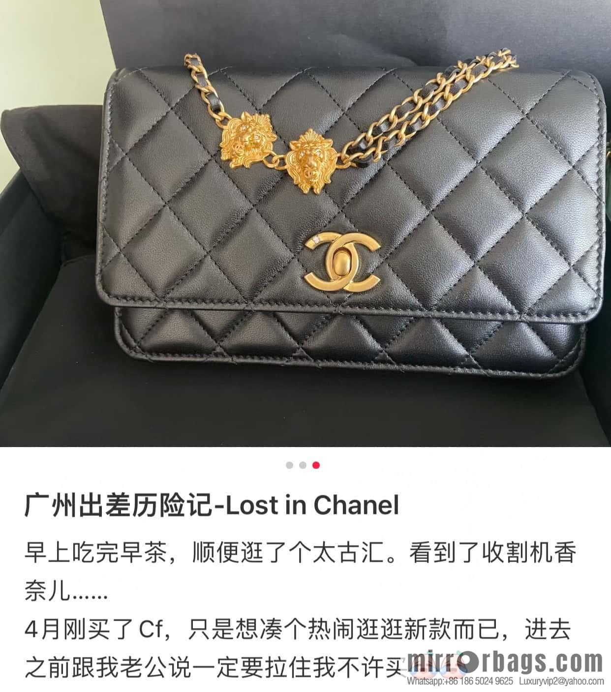 CHANEL 23A chain strap 🦁 AP3424