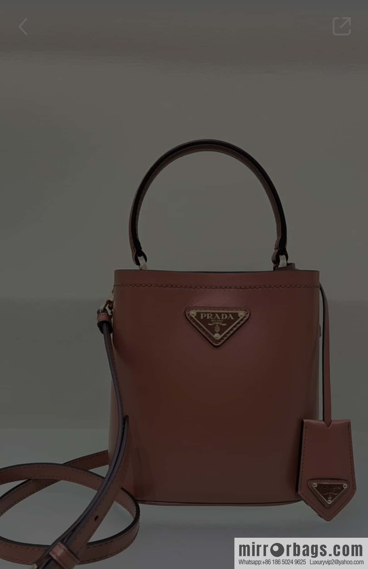 PRTADA Prada calfskin leather (fabric) bucket bag 1BA373