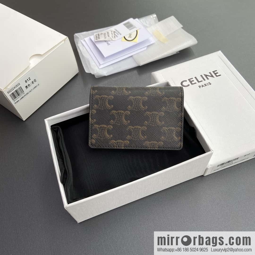 CELINE TRIOMPHE Logo Printed Business Card Case 10J812BZR.38SI